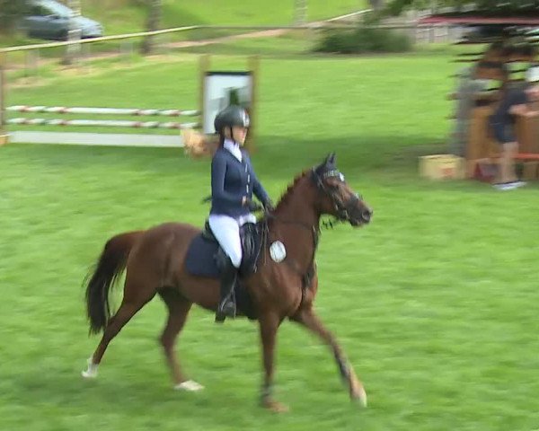 Landesponyturnier Ansbach 2019