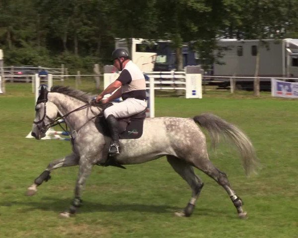 Reitturnier Kellinghusen 2019