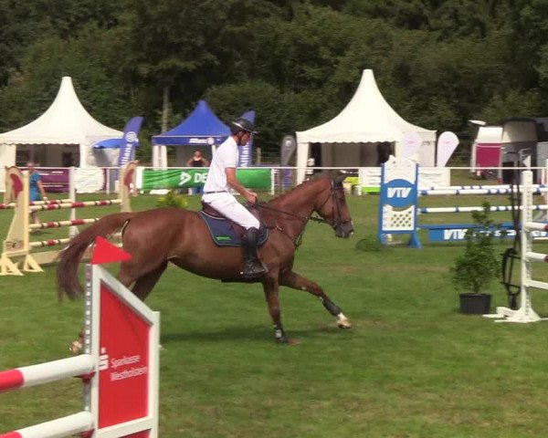 Reitturnier Kellinghusen 2019