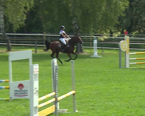 Landesponyturnier Ansbach 2019