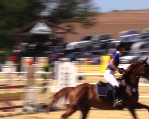 Reitturnier Duderstadt 2019