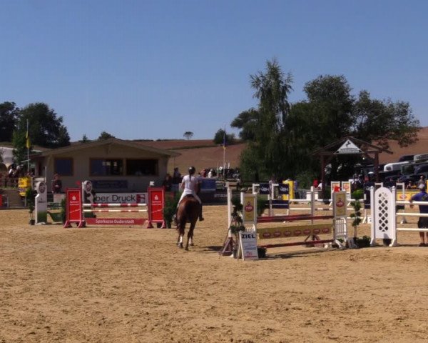 Reitturnier Duderstadt 2019