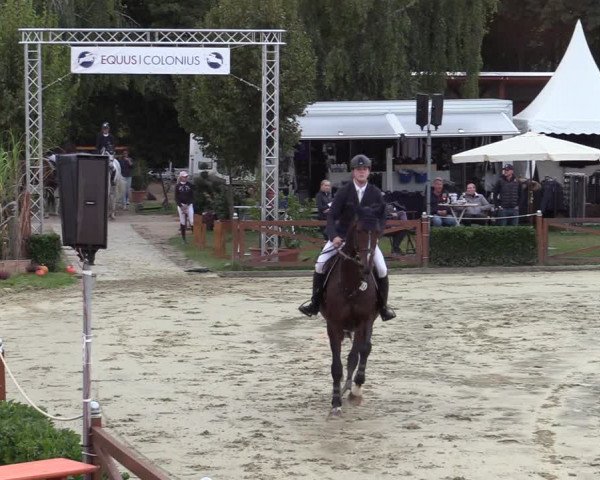 Equus Colonius - Reitanlage Brüse Köln 2021