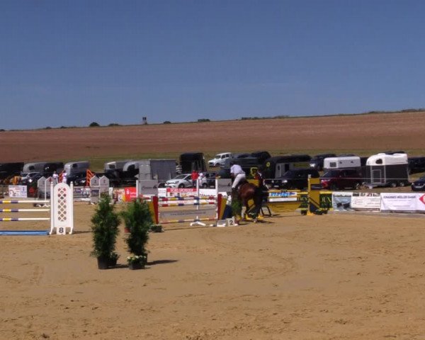 Reitturnier Duderstadt 2019