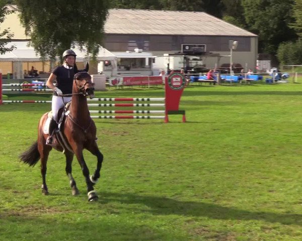Reitturnier Kellinghusen 2019