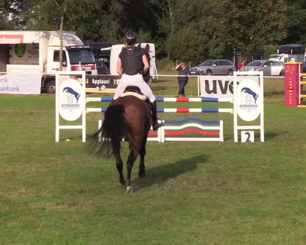 Reitturnier Kellinghusen 2019