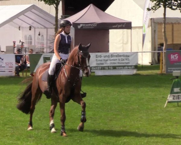 Reitturnier Kellinghusen 2019