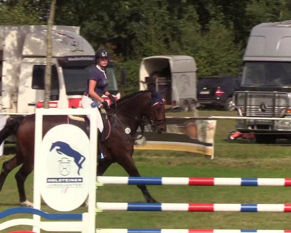 Reitturnier Kellinghusen 2019
