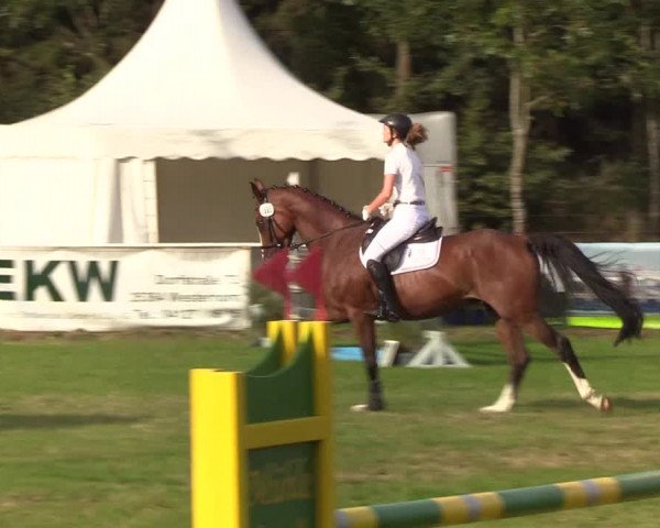 Reitturnier Kellinghusen 2019