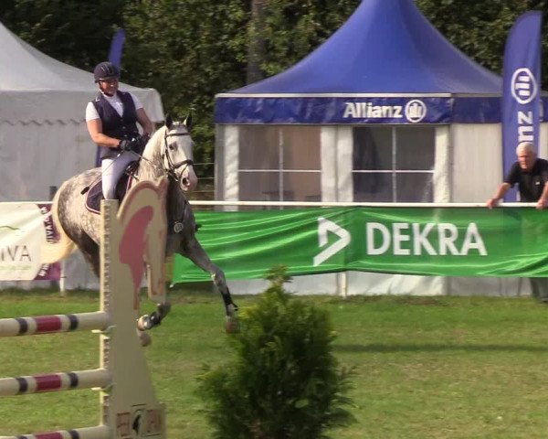 Reitturnier Kellinghusen 2019