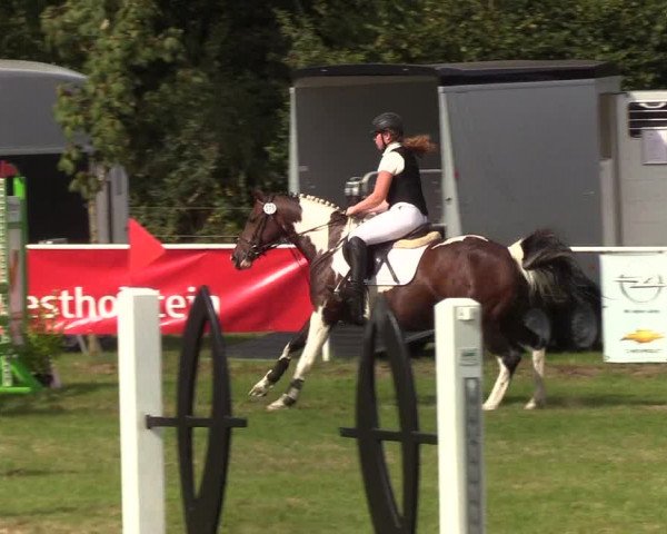 Reitturnier Kellinghusen 2019