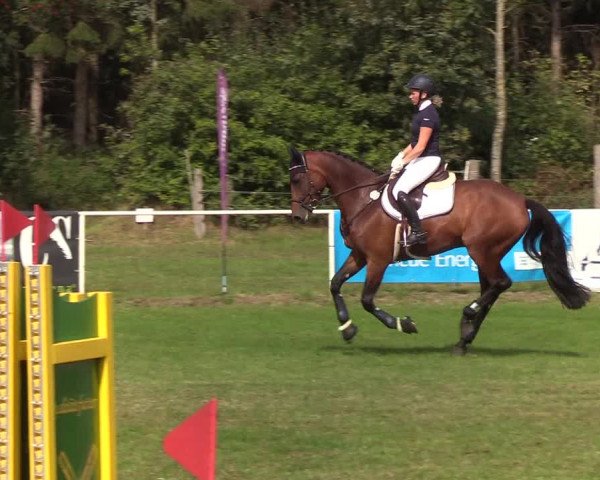 Reitturnier Kellinghusen 2019