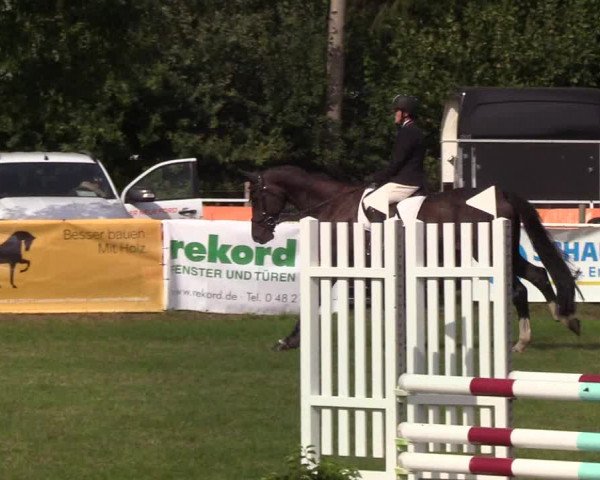 Reitturnier Kellinghusen 2019