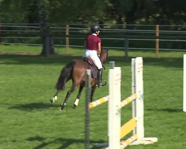 Landesponyturnier Ansbach 2019