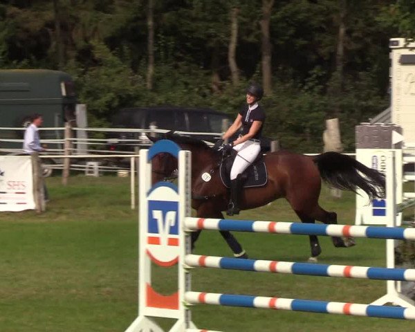 Reitturnier Kellinghusen 2019