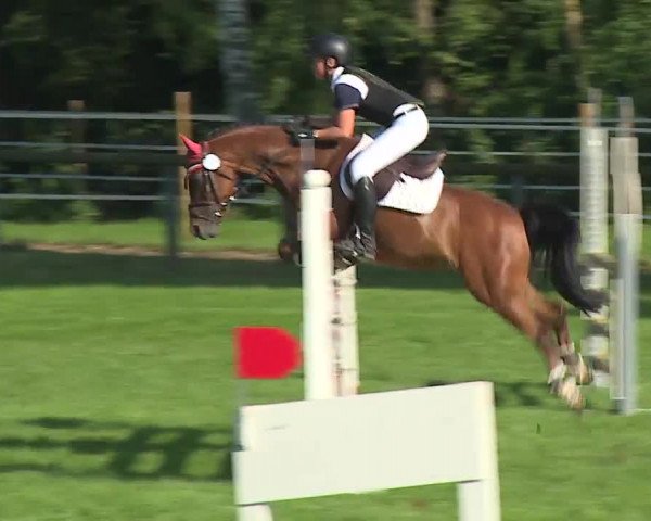 Landesponyturnier Ansbach 2019