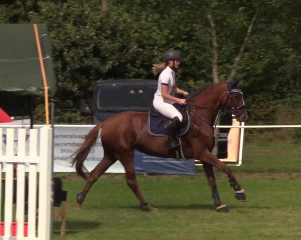 Reitturnier Kellinghusen 2019