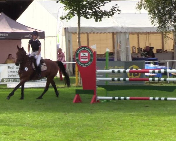 Reitturnier Kellinghusen 2019