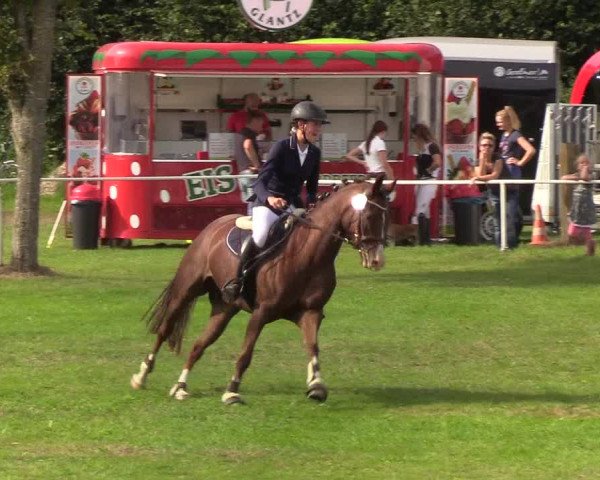 Reitturnier Kellinghusen 2019