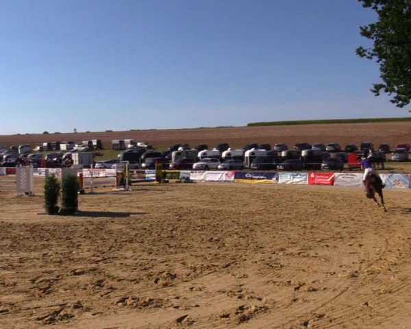 Reitturnier Duderstadt 2019