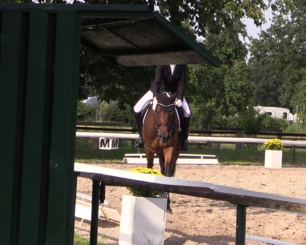 Reitturnier Recklinghausen 2019