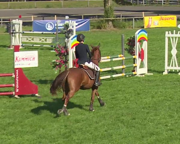 Landesponyturnier Ansbach 2019