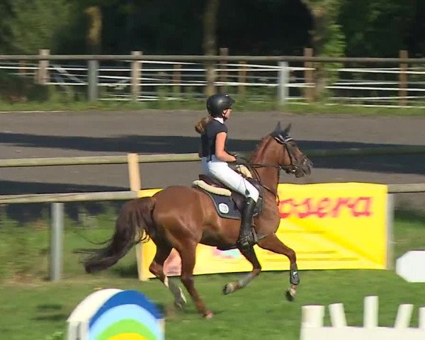 Landesponyturnier Ansbach 2019