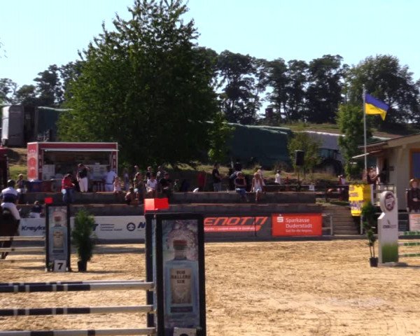 Reitturnier Duderstadt 2019