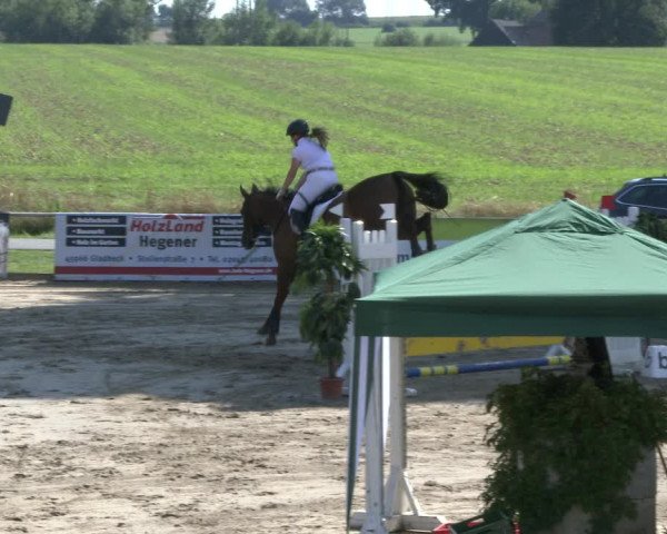 Reitturnier Recklinghausen 2019