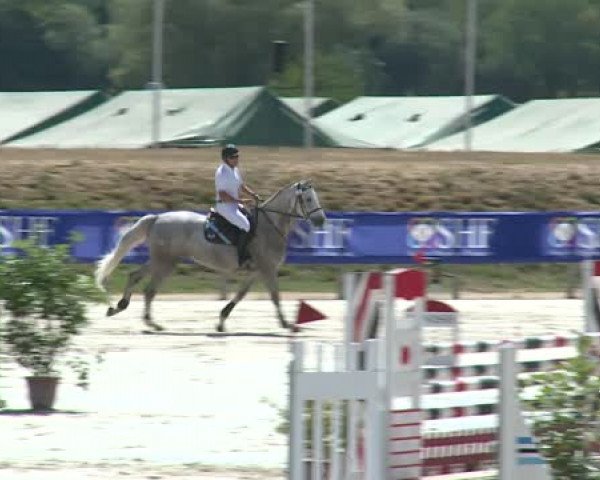 horse Babiza One (Selle Français, 2011, from Champs Elysees)