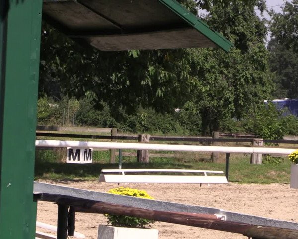 Reitturnier Recklinghausen 2019
