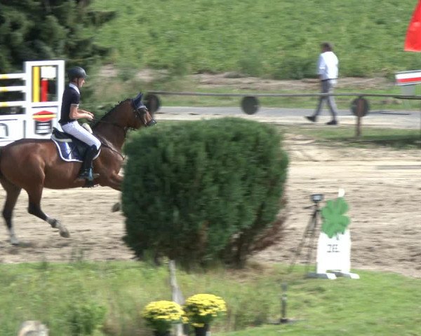 Reitturnier Recklinghausen 2019