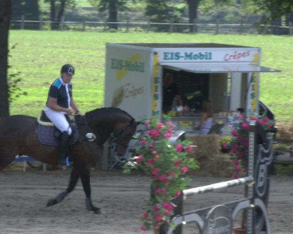 Reitturnier Recklinghausen 2019
