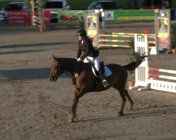 Reitturnier Recklinghausen 2019