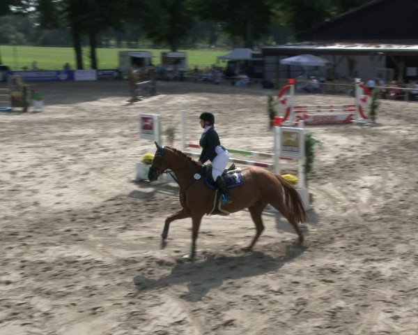Reitturnier Recklinghausen 2019