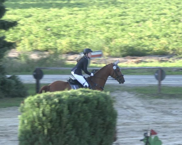 Reitturnier Recklinghausen 2019
