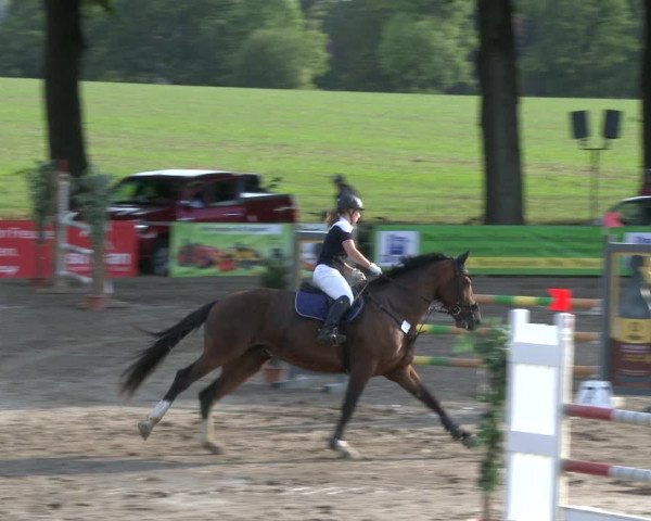 Reitturnier Recklinghausen 2019