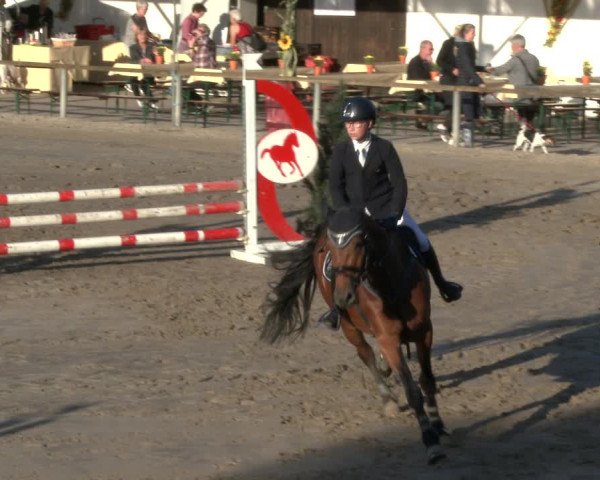 Reitturnier Recklinghausen 2019