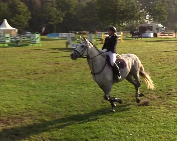 Reitturnier Kellinghusen 2019
