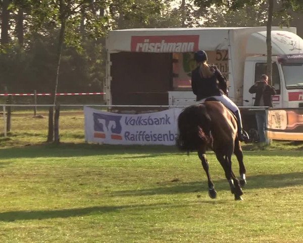 Reitturnier Kellinghusen 2019