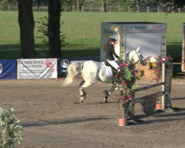 Reitturnier Recklinghausen 2019