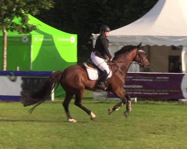 Reitturnier Kellinghusen 2019