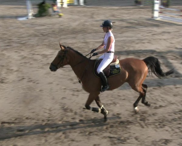 Reitturnier Recklinghausen 2019