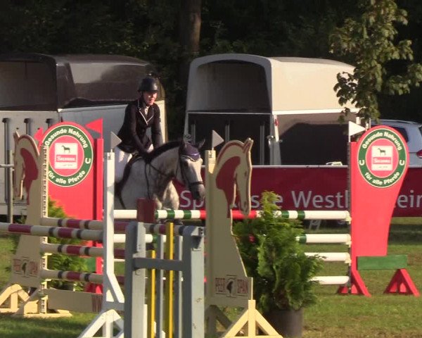 Reitturnier Kellinghusen 2019