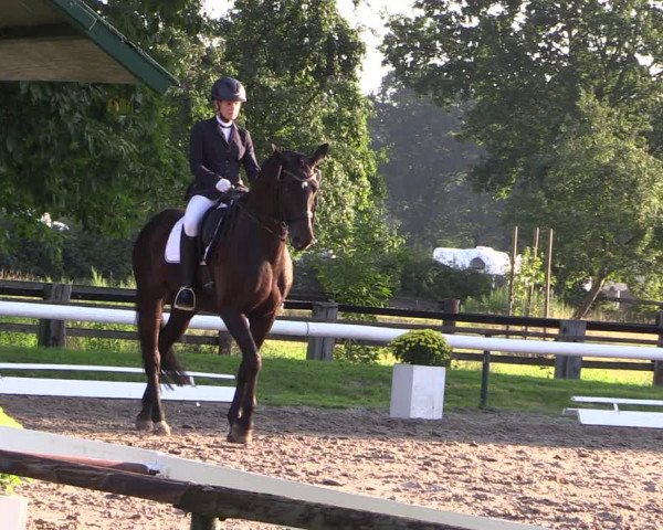 Reitturnier Recklinghausen 2019