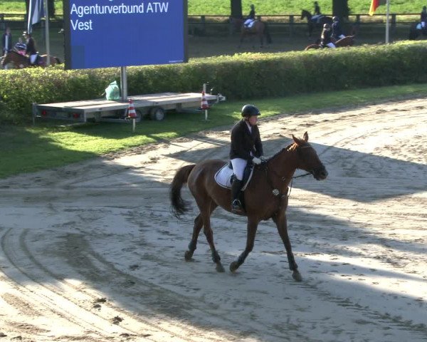 Reitturnier Recklinghausen 2019