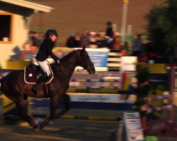 Reitturnier Duderstadt 2019