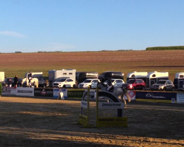 Reitturnier Duderstadt 2019