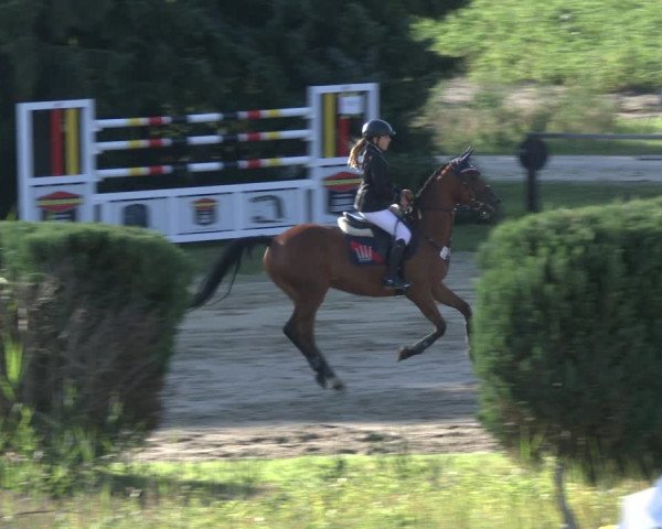 Reitturnier Recklinghausen 2019