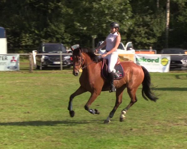 Reitturnier Kellinghusen 2019